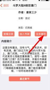 丝袜小说 下载,网罗都市风情，揭秘丝袜诱惑下的情感纠葛
