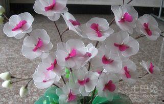 丝袜花的做法,巧手编织浪漫花束